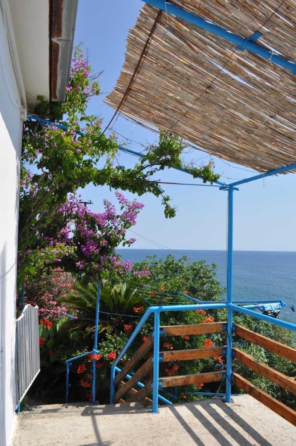 Sunset Apartamento Ulcinj Exterior foto
